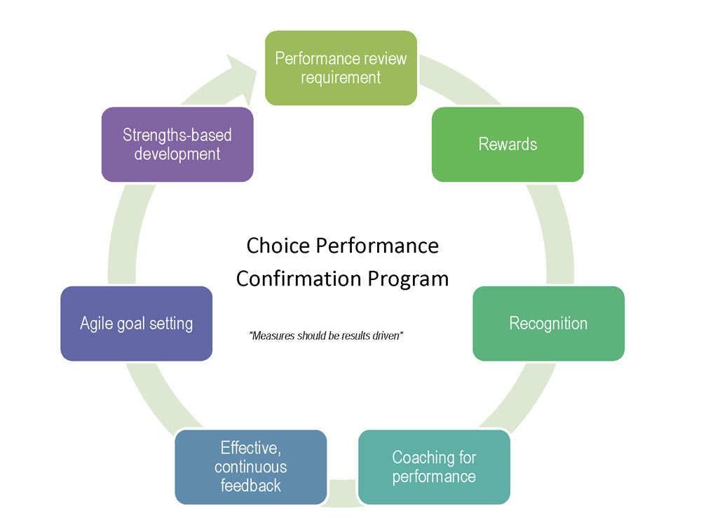 Performance Management For Small Firms Accessible Version